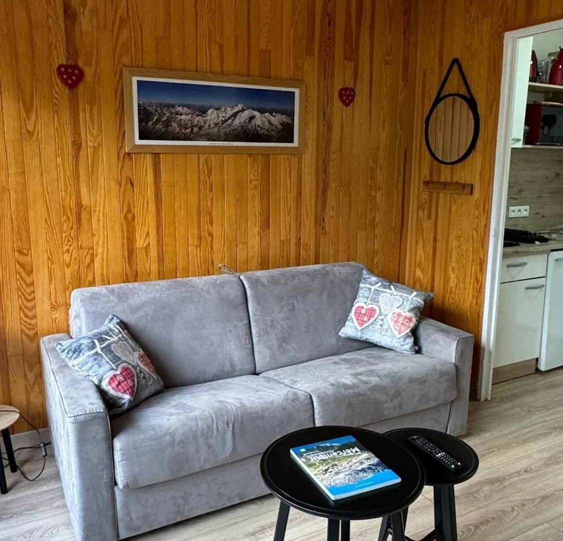 Studio Au Coeur D Auron 118 Saint-Etienne-de-Tinee France